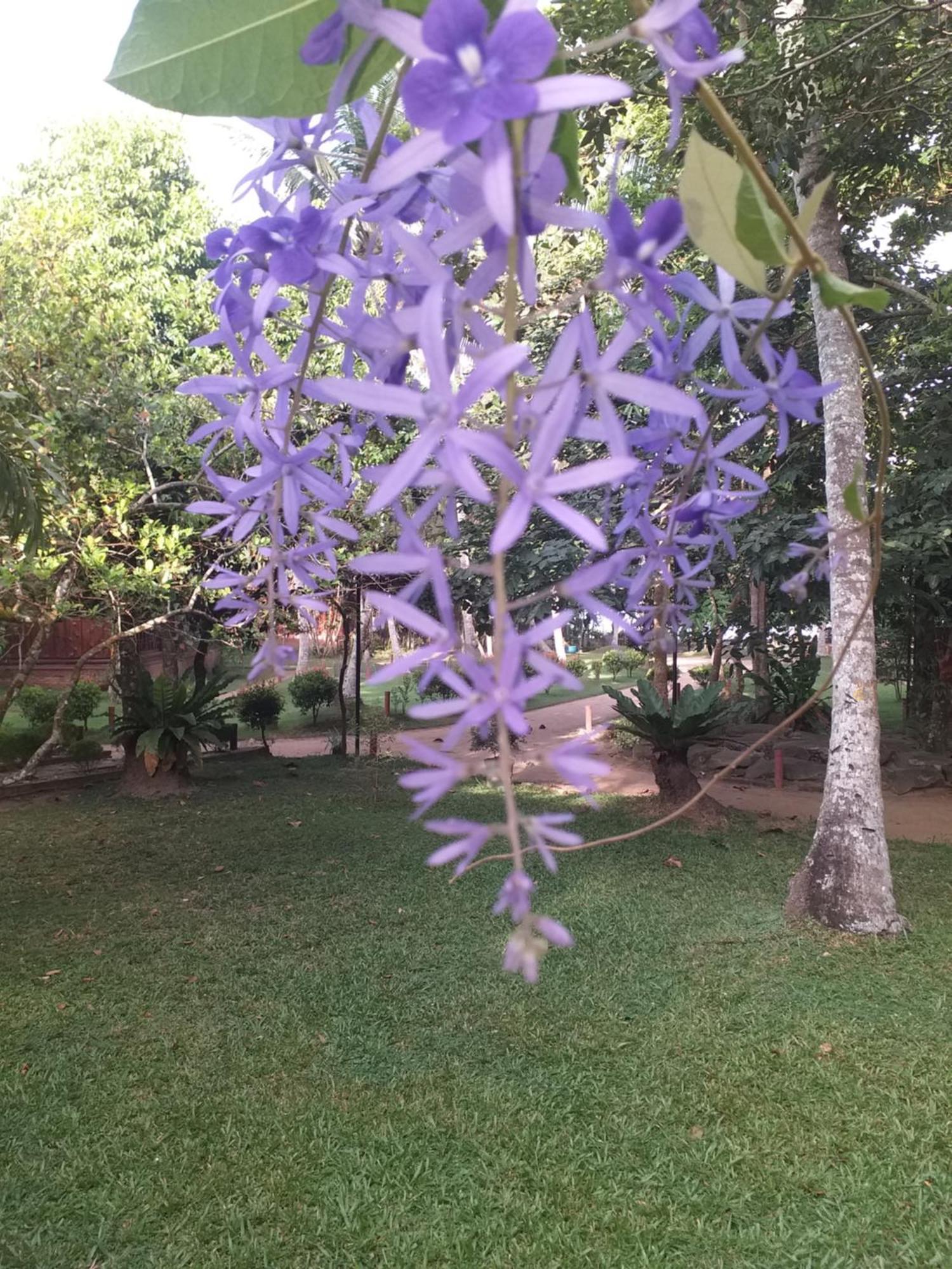 Lake Resort Bolgoda Wadduwa Exterior foto